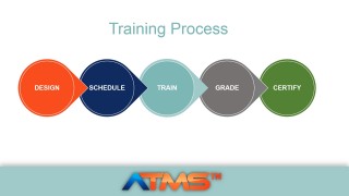 training process